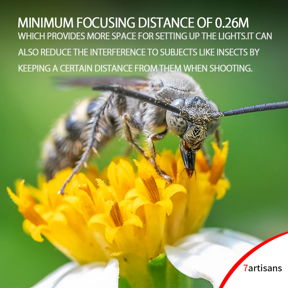 MF 60mm f/2.8 APS-C lens for E/EOS-M/FX/M43 - Image 13