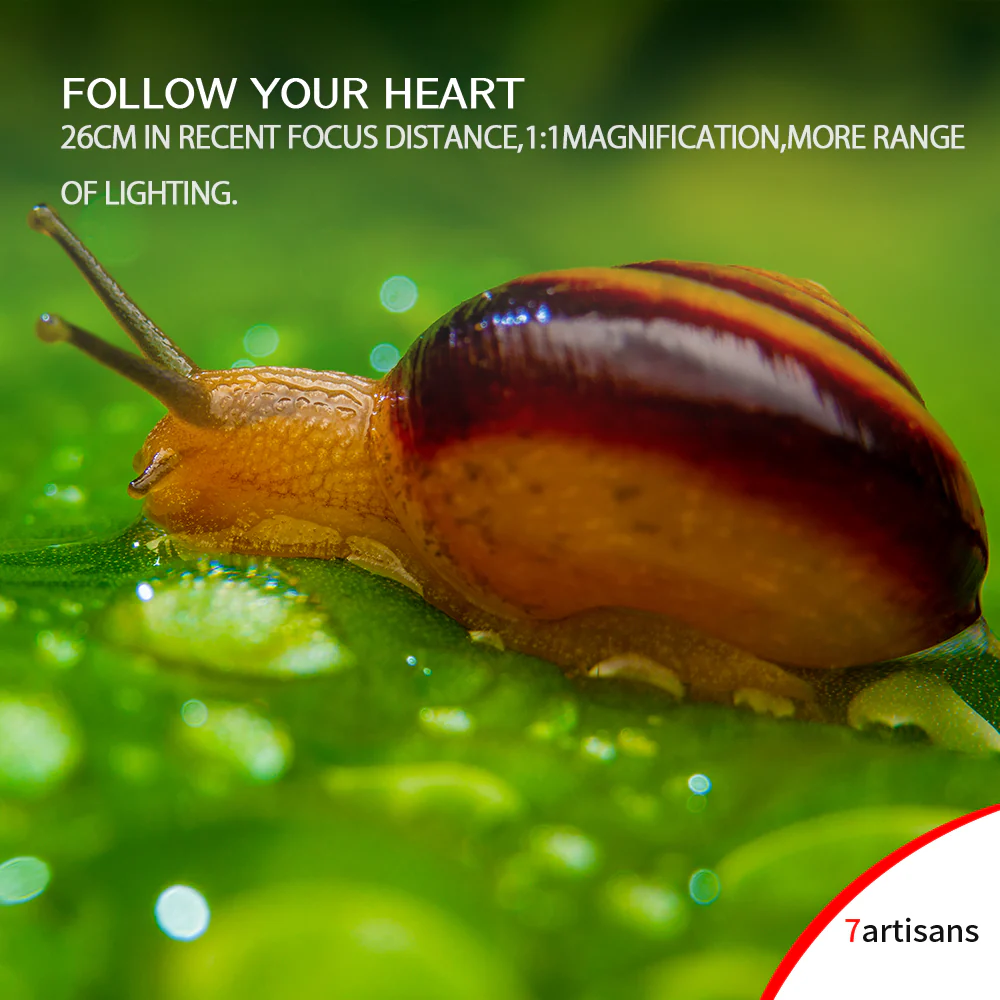 MF 60mm f/2.8 APS-C lens for E/EOS-M/FX/M43 - Image 15