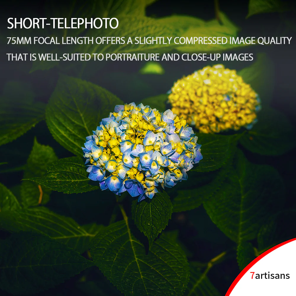 M75mm f/1.25 Full-frame lens for Leica M - Image 9