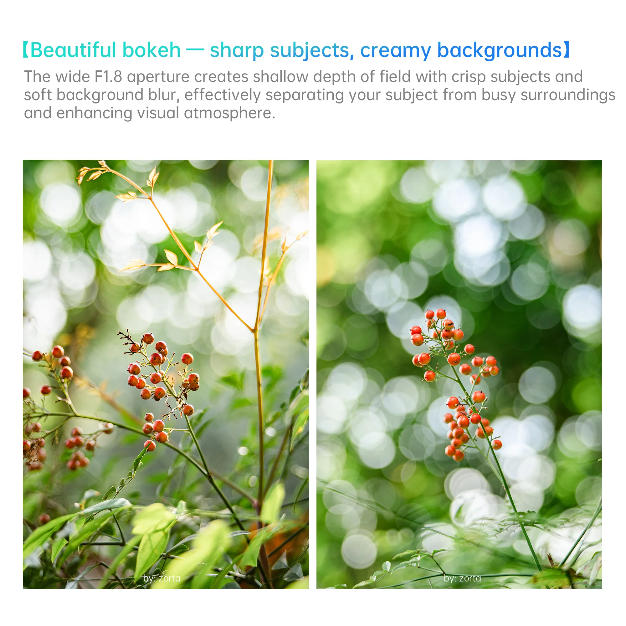 AF 25/35/50mm F1.8 APS-C Lens for E/FX - Image 11